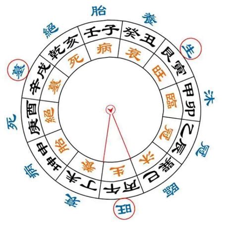 八字 墓|八字算命中墓、死、病、衰、帝、临、冠、沐分别是什么含义